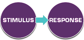 The Space Between Stimulus and Response