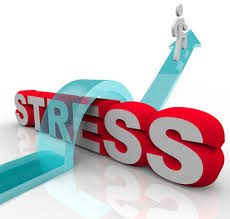 Response to Stress is Key to Success